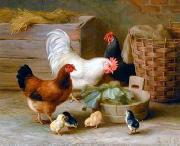 unknow artist Cocks 140 oil painting picture wholesale